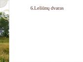 Utenos rajono lankytinos vietos 13 puslapis