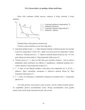 Termodinaminė chemija 13 puslapis