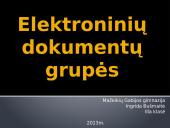 Elektroninių dokumentų grupės