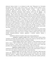 Keleivių srautų tyrimas 4 puslapis