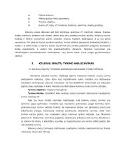 Keleivių srautų tyrimas 7 puslapis