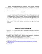 Keleivių srautų tyrimas 9 puslapis