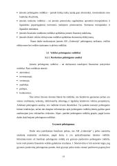 AB ,,Gubernija" veiklos finansinė analizė 13 puslapis