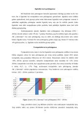 AB ,,Gubernija" veiklos finansinė analizė 15 puslapis