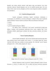 AB ,,Gubernija" veiklos finansinė analizė 16 puslapis