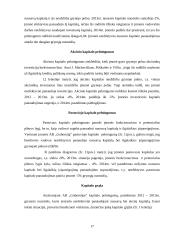 AB ,,Gubernija" veiklos finansinė analizė 17 puslapis