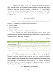 AB ,,Gubernija" veiklos finansinė analizė 20 puslapis