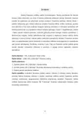 AB ,,Gubernija" veiklos finansinė analizė 3 puslapis