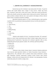 AB ,,Gubernija" veiklos finansinė analizė 4 puslapis