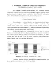 AB ,,Gubernija" veiklos finansinė analizė 5 puslapis