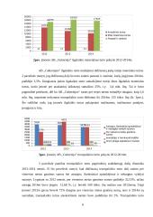AB ,,Gubernija" veiklos finansinė analizė 6 puslapis