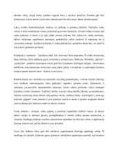 Muzikos integravimas į kitų mokomųjų dalykų pamokas 11 puslapis