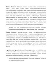 Muzikos integravimas į kitų mokomųjų dalykų pamokas 13 puslapis