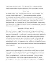 Muzikos integravimas į kitų mokomųjų dalykų pamokas 6 puslapis