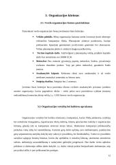 Vadybos darbas apie įmonę kurioje norėtumėte dirbti 11 puslapis