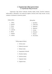 Vadybos darbas apie įmonę kurioje norėtumėte dirbti 3 puslapis