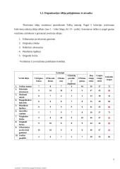Vadybos darbas apie įmonę kurioje norėtumėte dirbti 4 puslapis