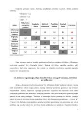 Vadybos darbas apie įmonę kurioje norėtumėte dirbti 6 puslapis