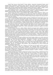 Muzikos estetika renesanso laikotarpyje 9 puslapis