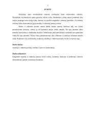 Smulkių ir vidutinių įmonių vaidmuo Lietuvos ekonomikoje 2 puslapis