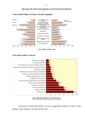 Smulkių ir vidutinių įmonių vaidmuo Lietuvos ekonomikoje 6 puslapis