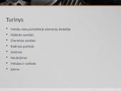 Gyvsidabris pristatymas 2 puslapis