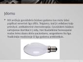 Gyvsidabris pristatymas 11 puslapis