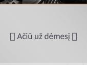 Gyvsidabris pristatymas 12 puslapis