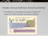 Gyvsidabris pristatymas 3 puslapis