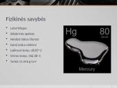 Gyvsidabris pristatymas 5 puslapis