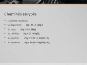 Gyvsidabris pristatymas 6 puslapis