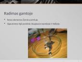 Gyvsidabris pristatymas 7 puslapis