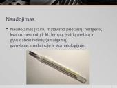 Gyvsidabris pristatymas 8 puslapis