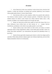 Karjeros planas darbas 11 puslapis