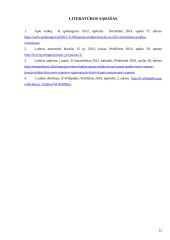 Karjeros planas darbas 12 puslapis