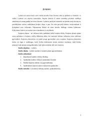 Karjeros planas darbas 3 puslapis
