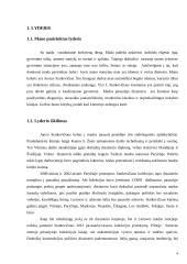 Karjeros planas darbas 4 puslapis