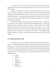 Karjeros planas darbas 6 puslapis