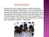 Biotechnologijos skaidrės 6 puslapis