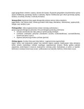 Specialybės įgūdžių praktikos kavinėje „X“ ataskaita 8 puslapis