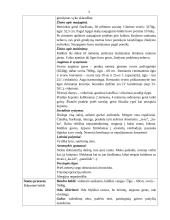 Vaiko slaugos istorija sergant ūminiu bronchiolitu 3 puslapis