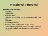 Geležinkelių transportas skaidrės 6 puslapis