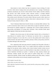 Kontrolės rūšių analizė 3 puslapis