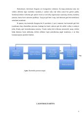 Kontrolės rūšių analizė 6 puslapis