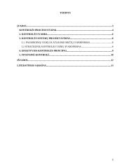 Kontrolės sistemų projektavimo savo profesinėje veikloje analizė 2 puslapis