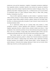 Kontrolės sistemų projektavimo savo profesinėje veikloje analizė 11 puslapis