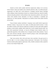 Kontrolės sistemų projektavimo savo profesinėje veikloje analizė 12 puslapis