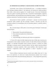 Socialinio pedagogo veiklos su vaikais augančiais homoseksualiose šeimose ypatumai 11 puslapis