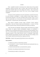 Socialinio pedagogo veiklos su vaikais augančiais homoseksualiose šeimose ypatumai 3 puslapis