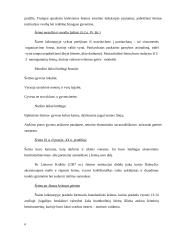 Socialinio pedagogo veiklos su vaikais augančiais homoseksualiose šeimose ypatumai 6 puslapis